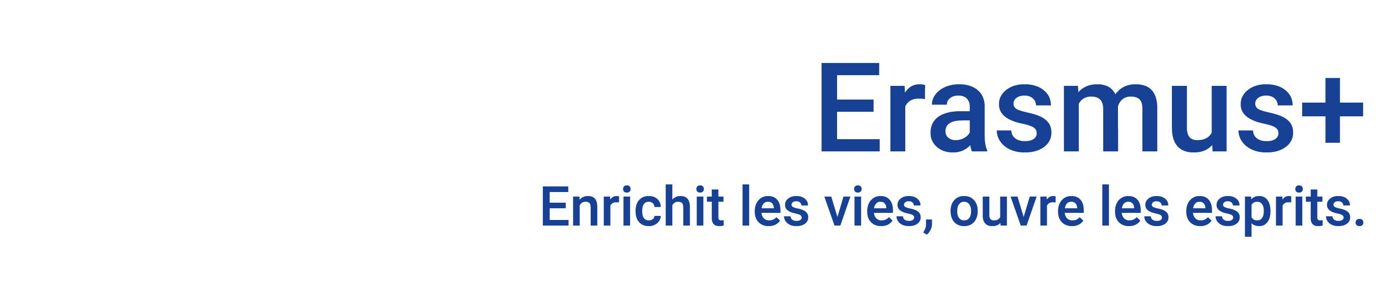 Icône du logo Erasmus